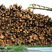 Redwood Kings - Träume aus Holz Thumbnail