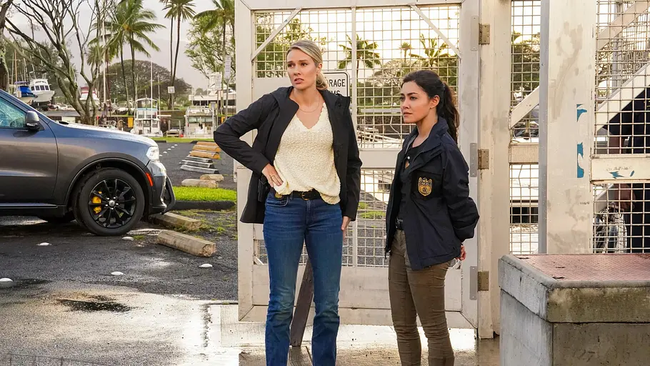 Navy CIS: Hawaii navy cis: hawaii