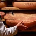 Re: Ein Käse als Streitfall Thumbnail