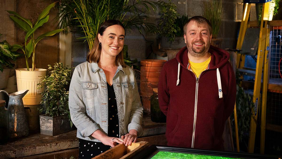 virtual designs - unser traumgarten wird real
