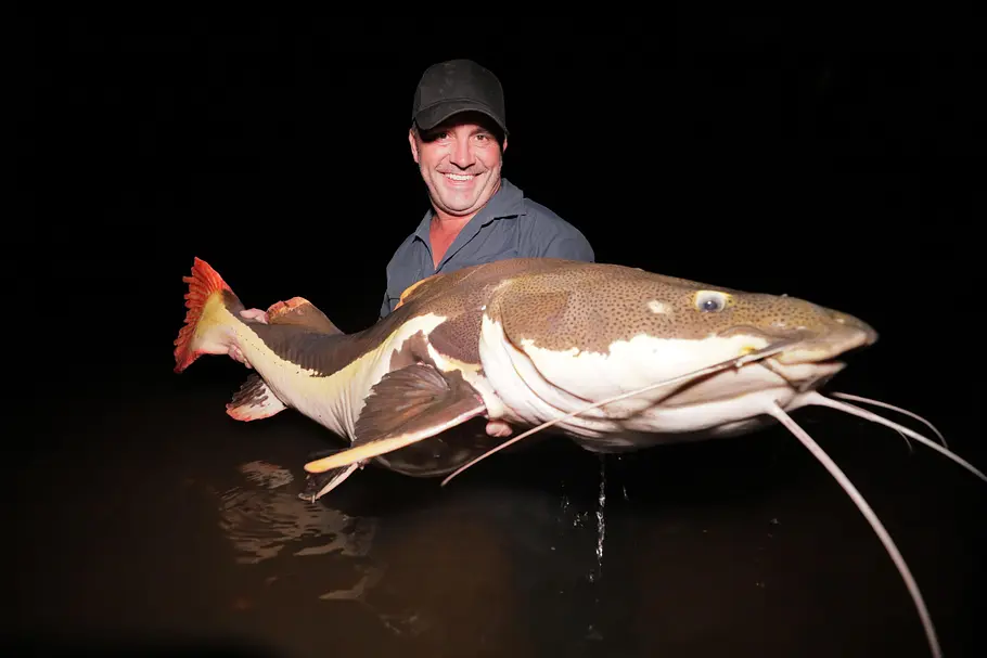 Monsterfische am Haken monsterfische am haken