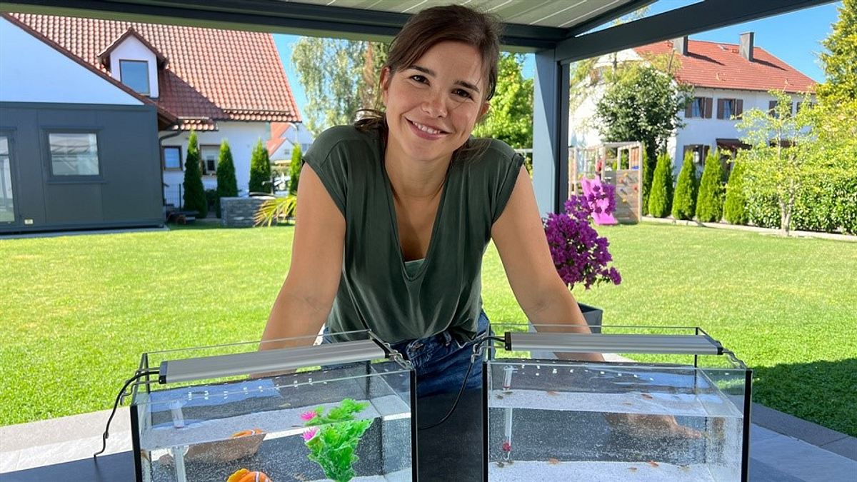 anna und die haustiere