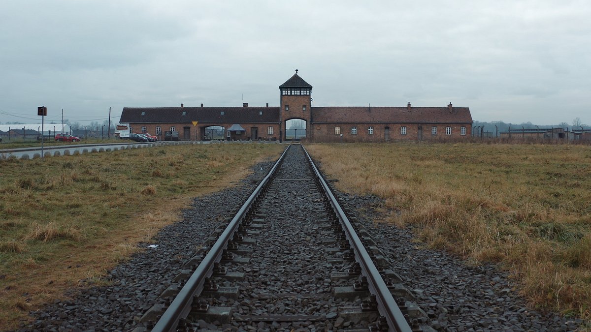 klassik unterm hakenkreuz - der maestro und die cellistin von auschwitz