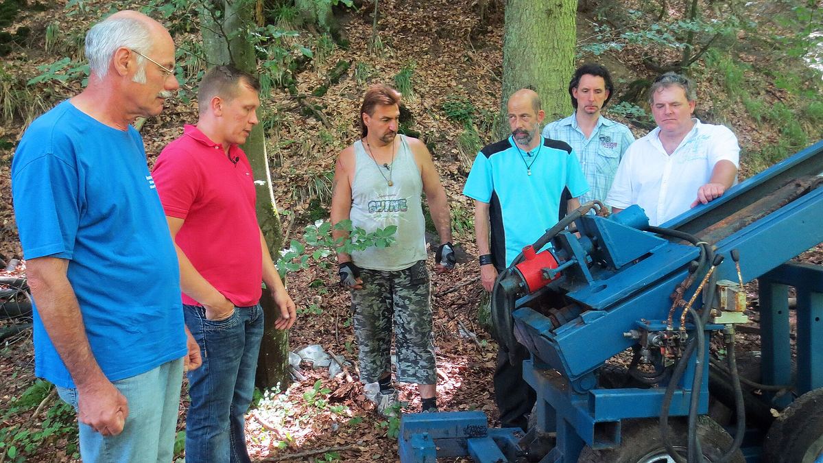 Der Trödeltrupp - Das Geld liegt im Keller der trödeltrupp - das geld liegt im keller