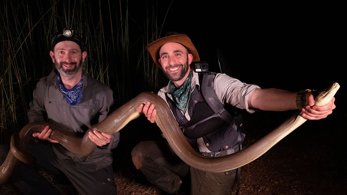 faszinierende tierwelt mit coyote peterson
