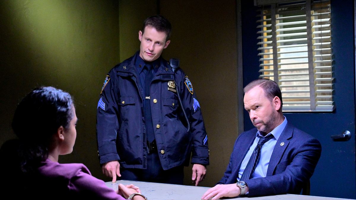 blue bloods - crime scene new york