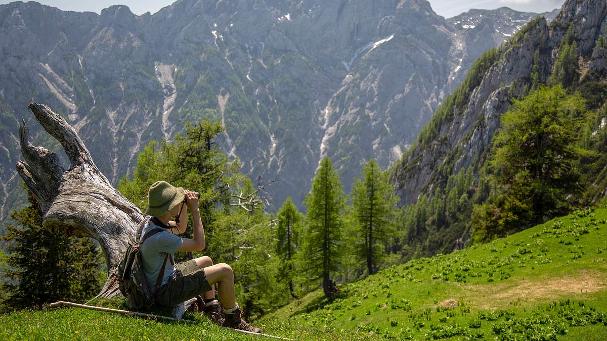 heimat in den alpen