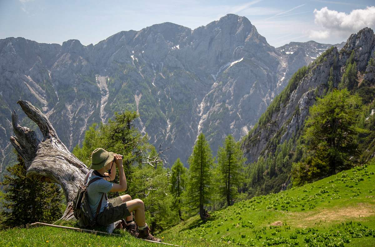 Heimat in den Alpen heimat in den alpen