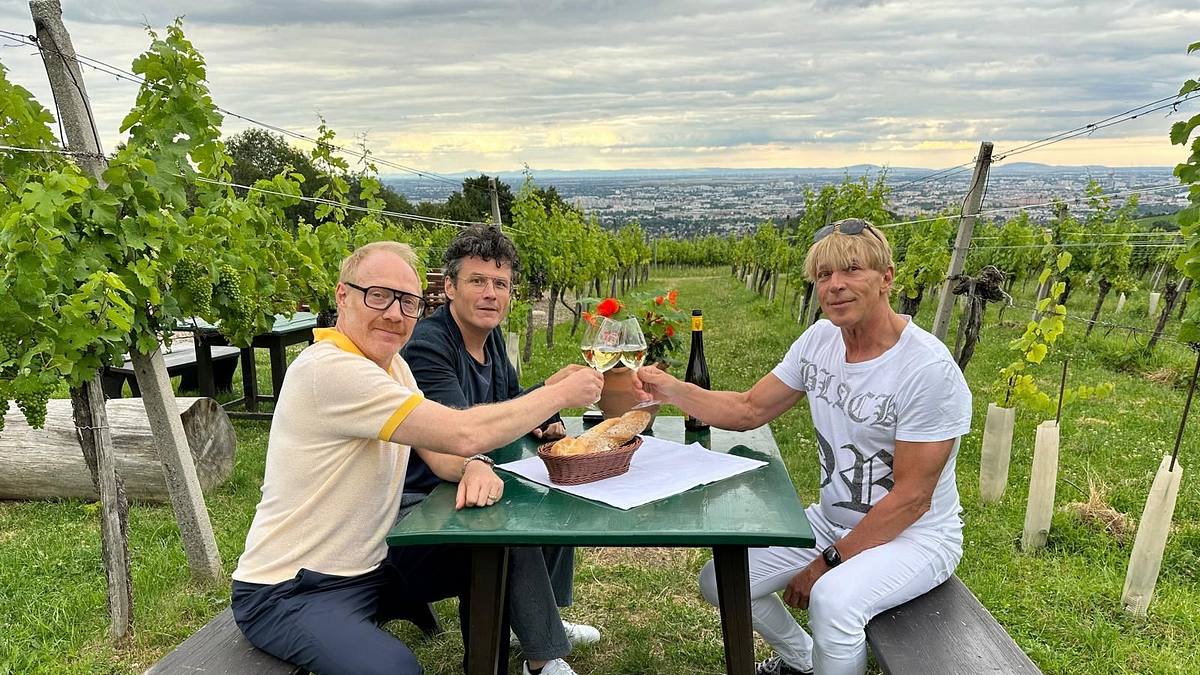 heinzl und die vips - sommergespräche