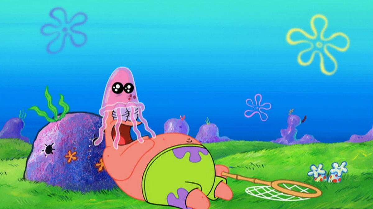 spongebob schwammkopf