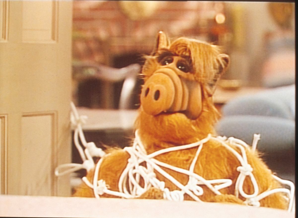 alf