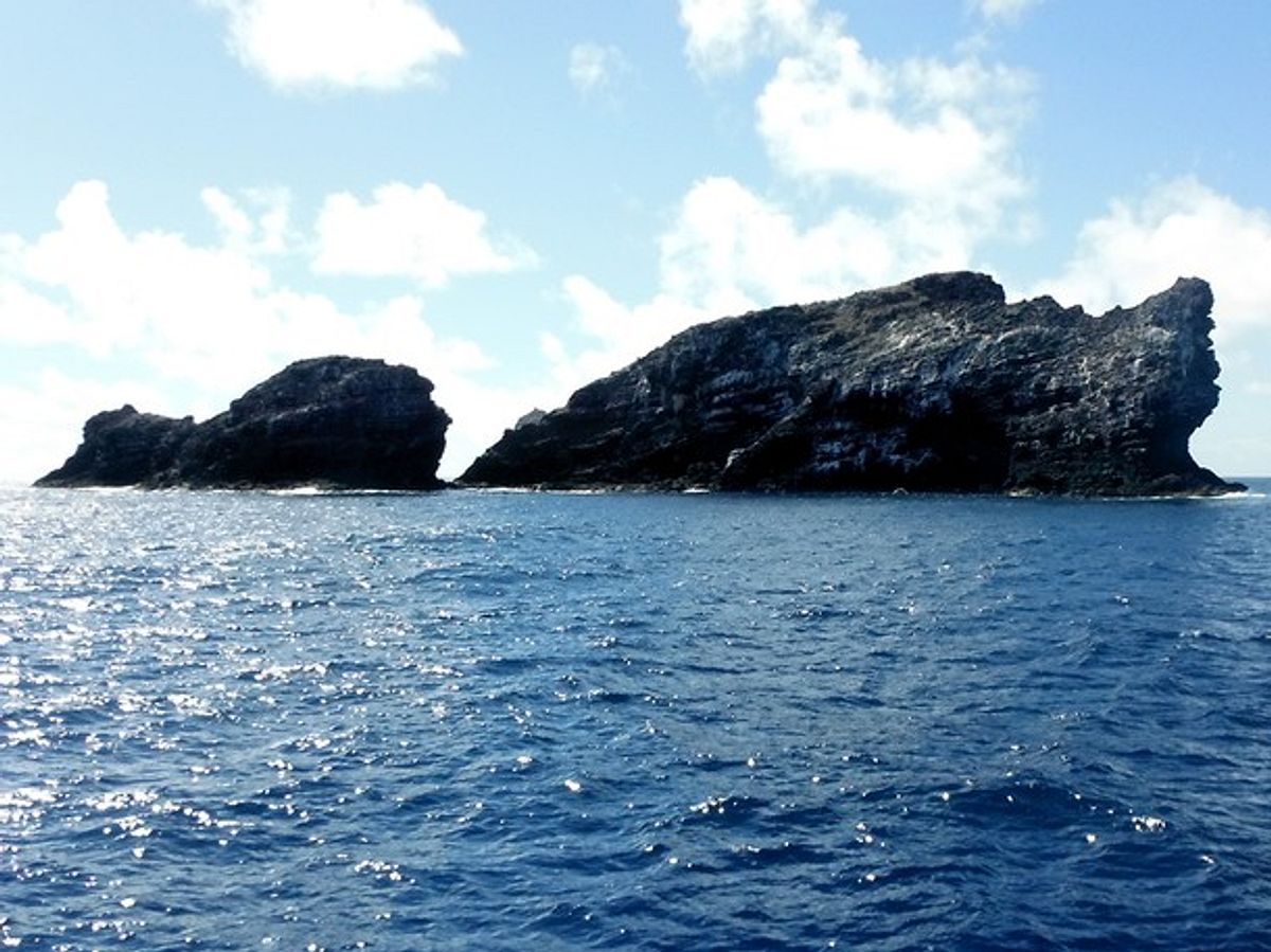 Wildes Hawaii wildes hawaii