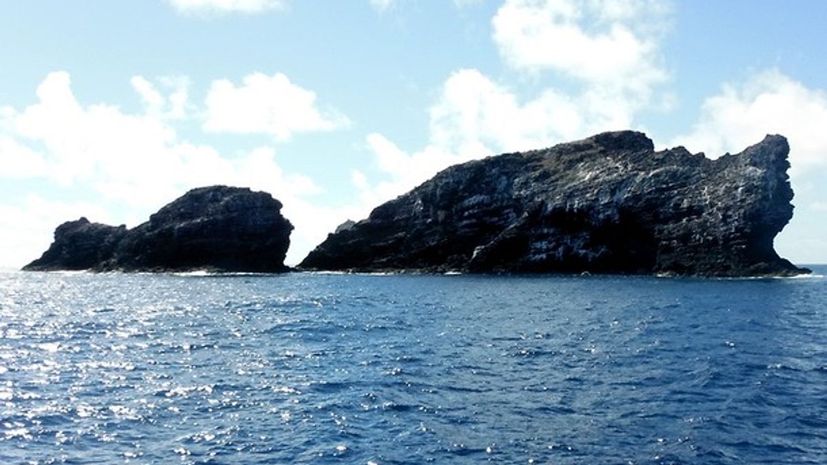wildes hawaii