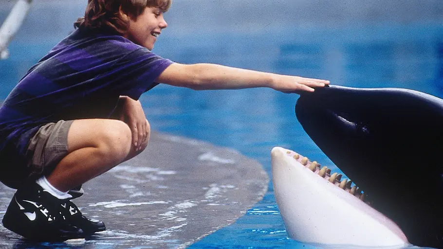 free willy 2 - freiheit in gefahr