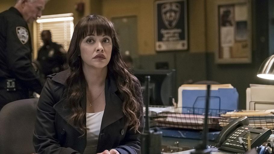 blue bloods - crime scene new york