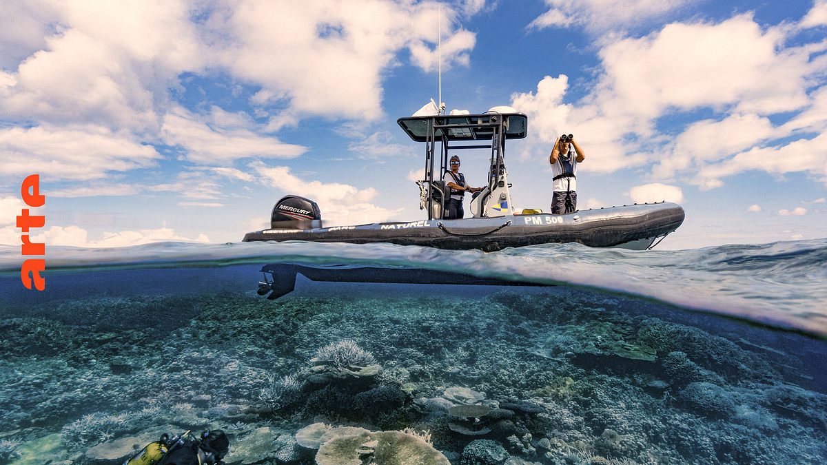 die wächter des great barrier reef