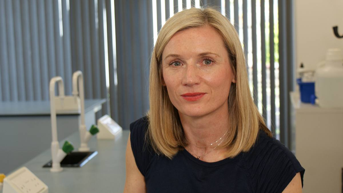expert witness - forensiker auf spurensuche