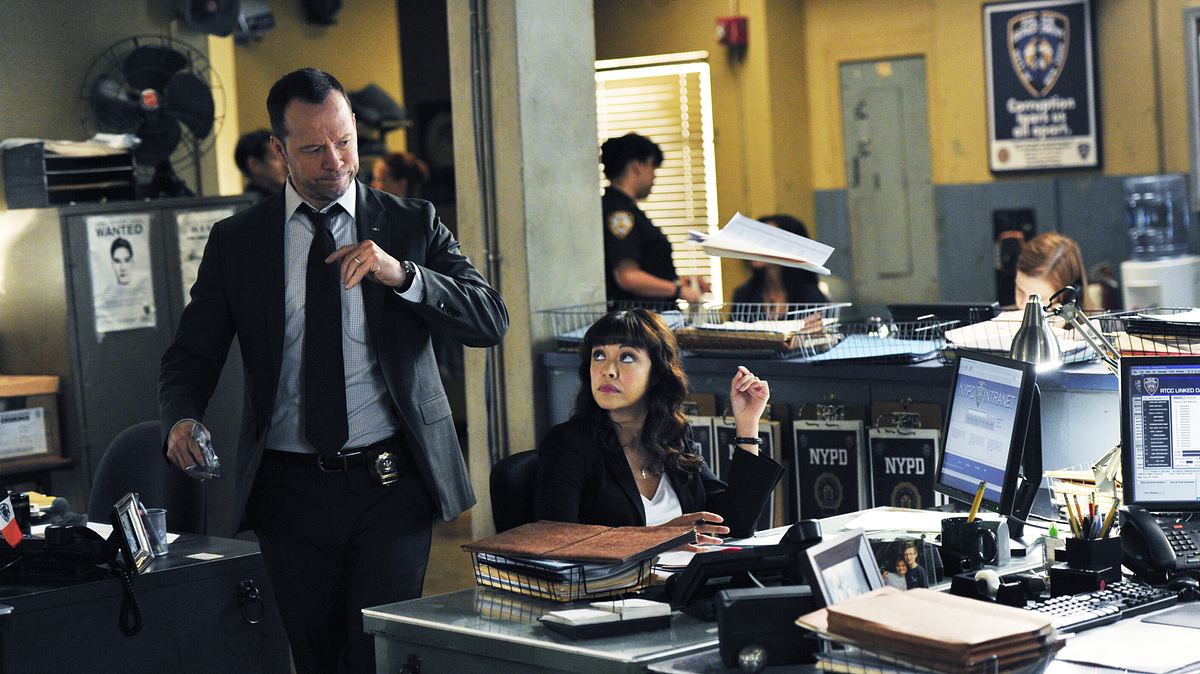 blue bloods - crime scene new york