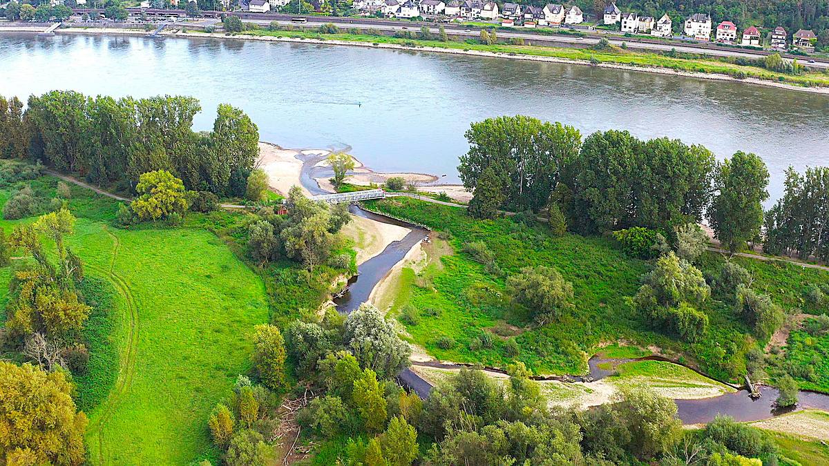 neues leben nach der ahrflut - die rückkehr der natur