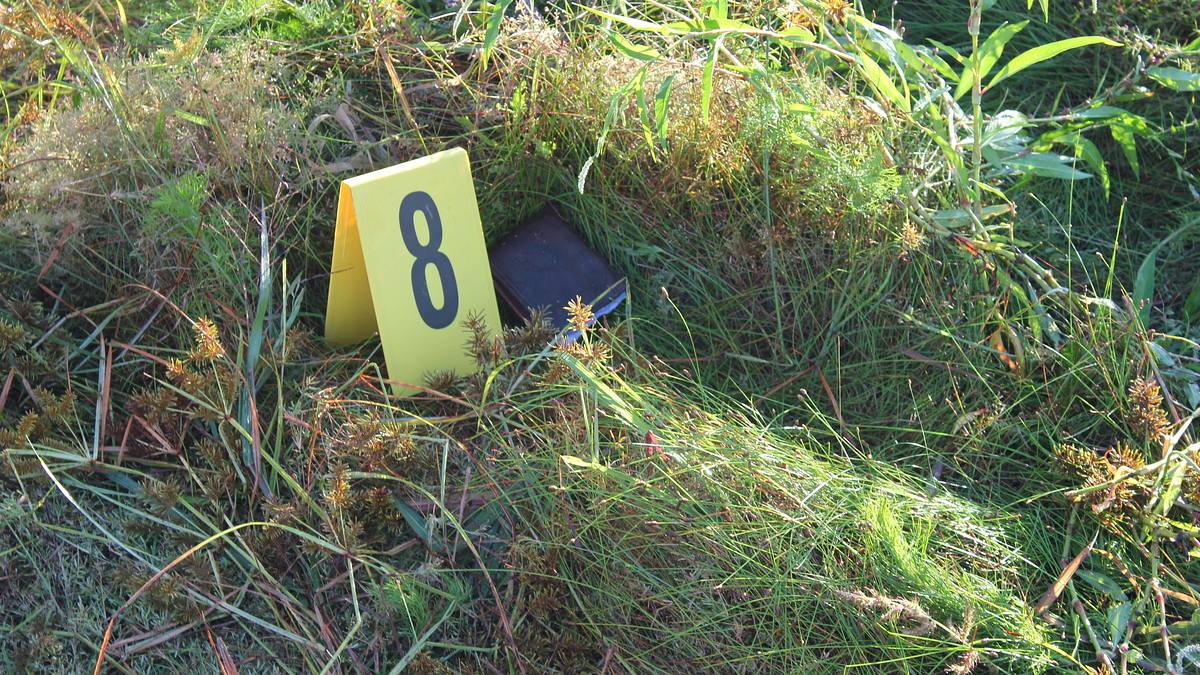 unfall, selbstmord oder mord