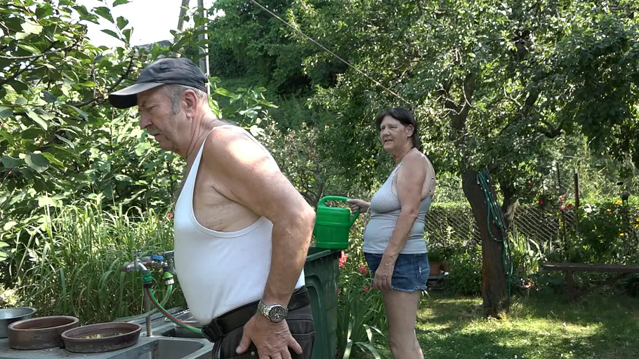 Von Hecke zu Hecke - Bunte Beetgeschichten von hecke zu hecke - bunte beetgeschichten