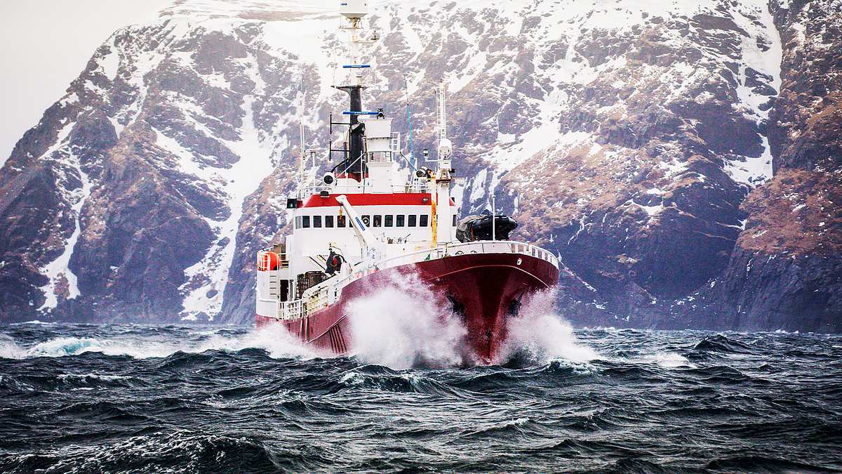 fang des lebens: abenteuer in norwegen