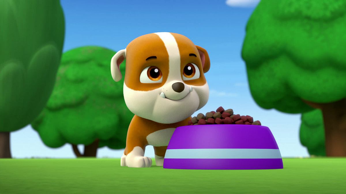 paw patrol - helfer auf vier pfoten