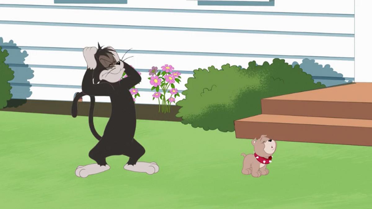 die tom und jerry show