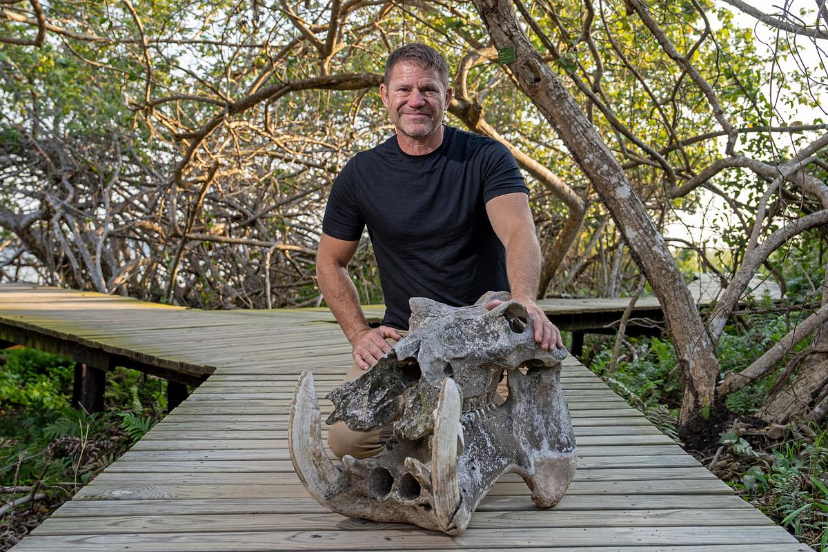 Krokodilen auf der Spur - mit Steve Backshall krokodilen auf der spur - mit steve backshall