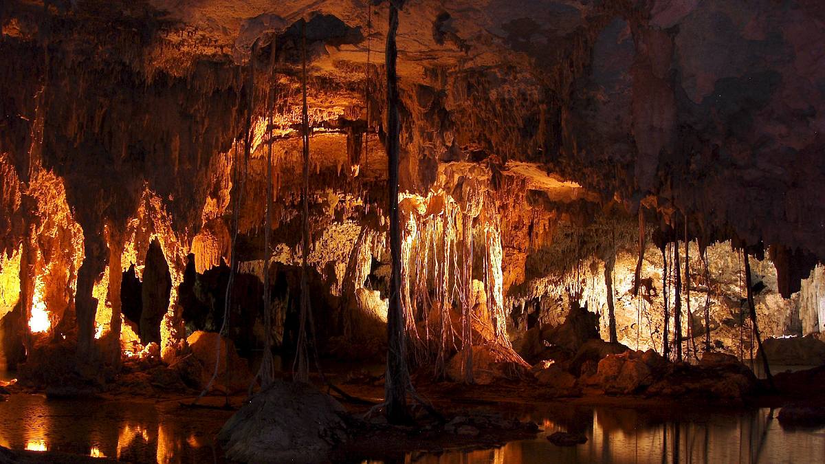 universum