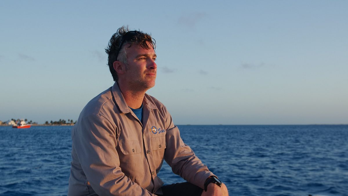 sharks of ghost island - haie im bermudadreieck