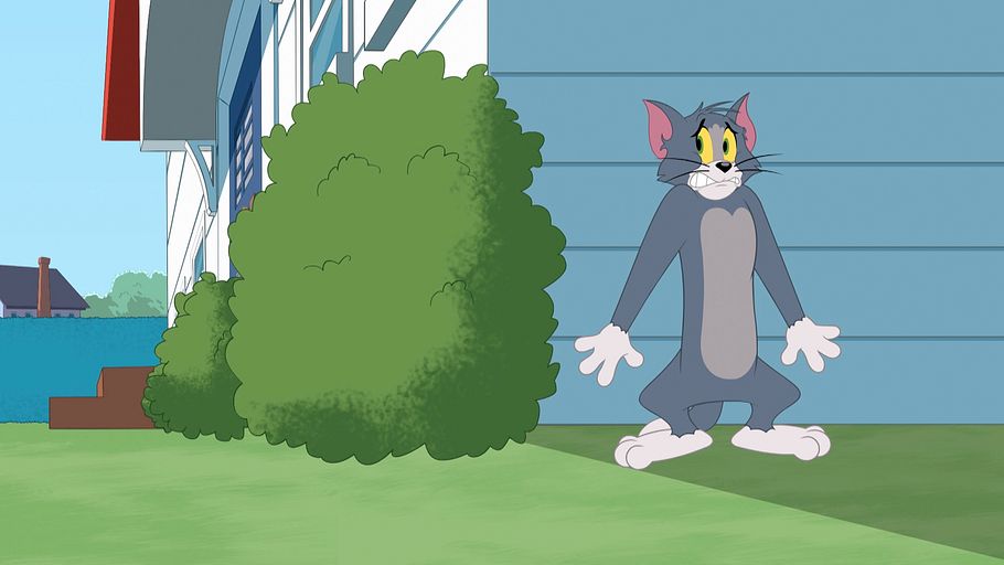 die tom und jerry show