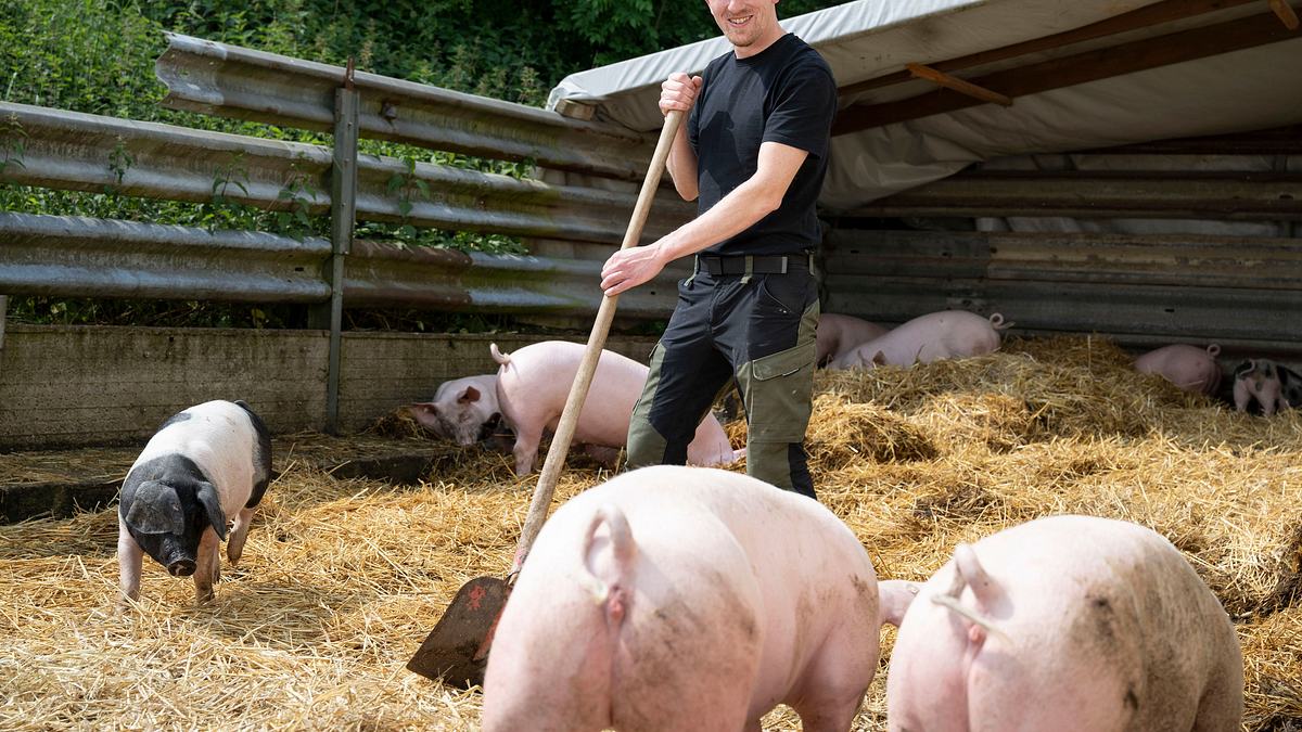 land und lecker