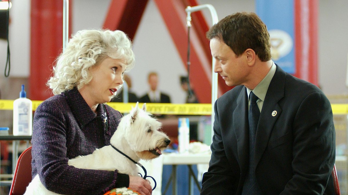 csi: ny
