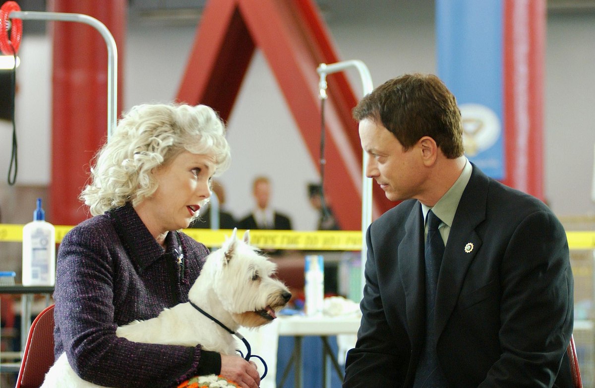 csi: ny