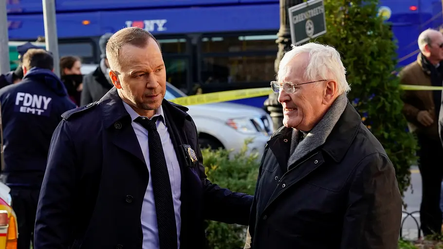 blue bloods - crime scene new york