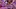 Video Platzhalter Video Platzhalter