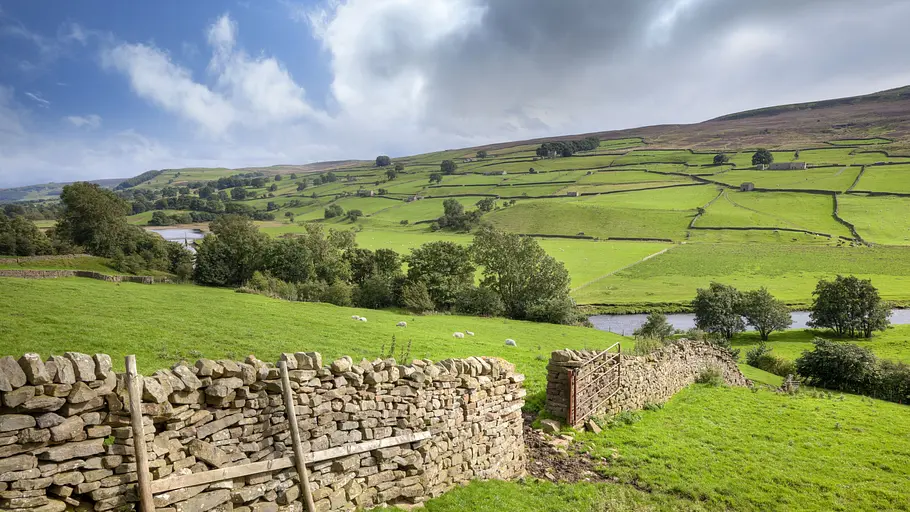 yorkshire: ein jahr in der wildnis