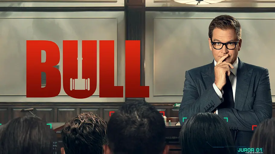 Bull bull
