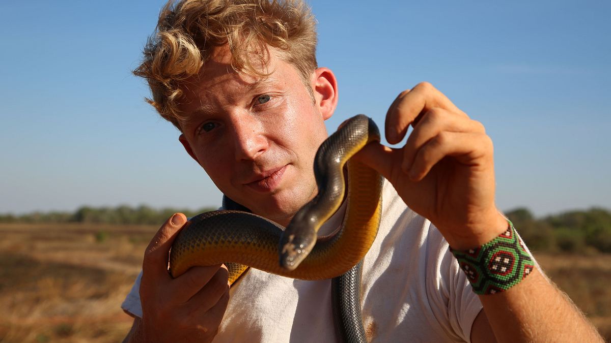auf in die wildnis mit jack randall