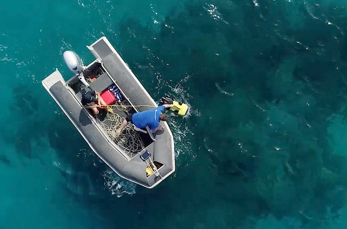 die wächter des great barrier reef