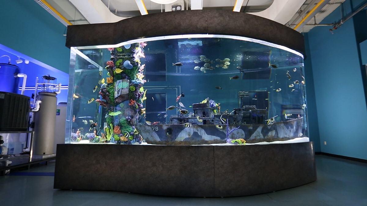 die aquarium-profis