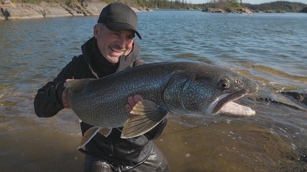 giganten unter wasser - riesenfischen auf der spur
