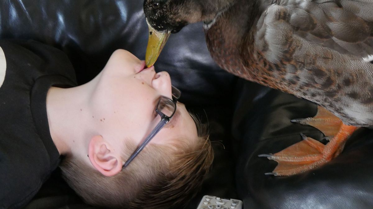 tierische freundschaften