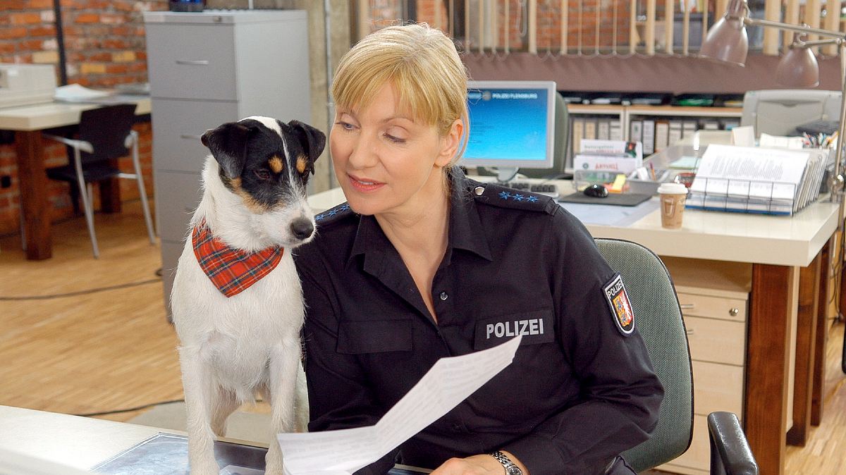 da kommt kalle