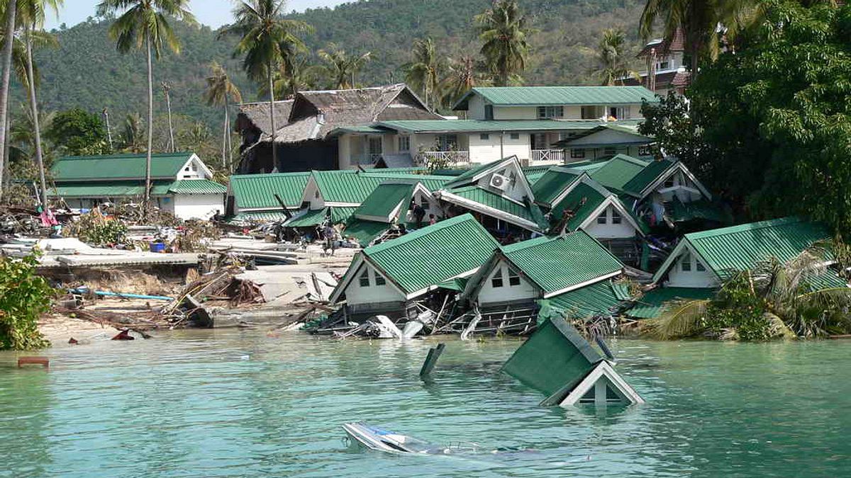 tsunami: wettlauf gegen die zeit