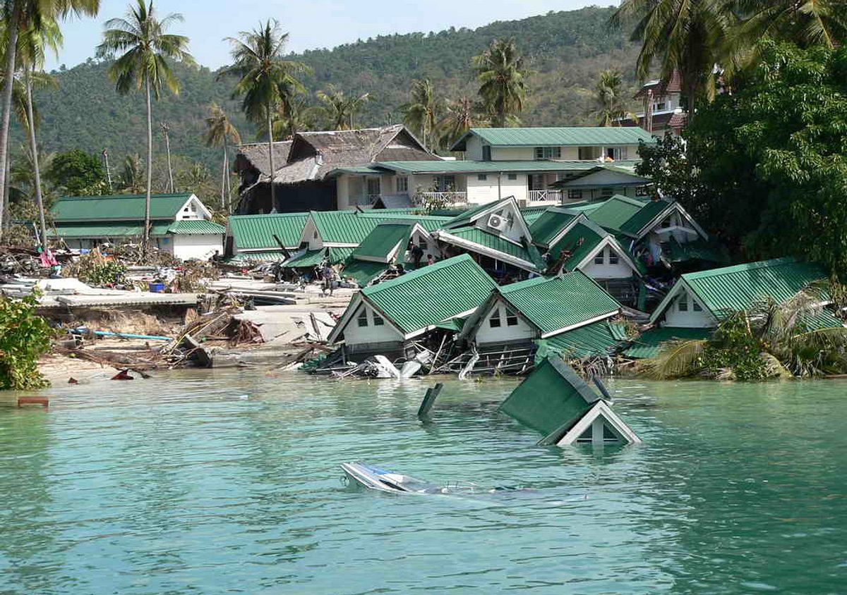 Tsunami: Wettlauf gegen die Zeit tsunami: wettlauf gegen die zeit