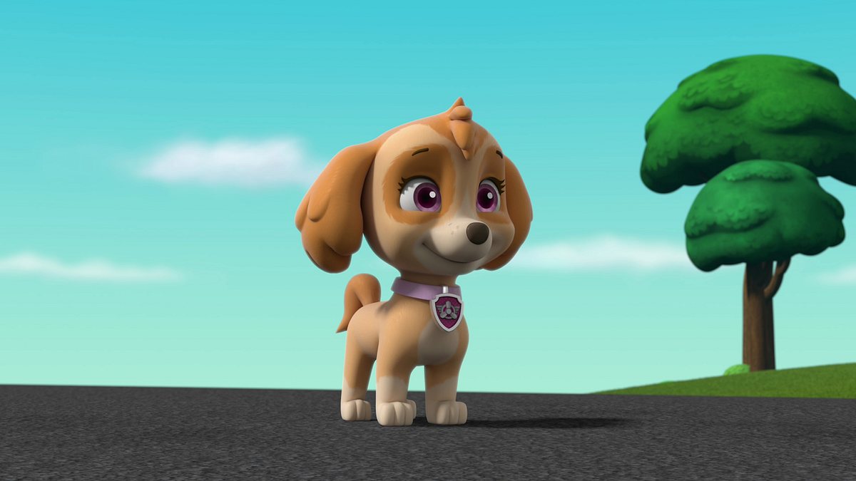 paw patrol - helfer auf vier pfoten