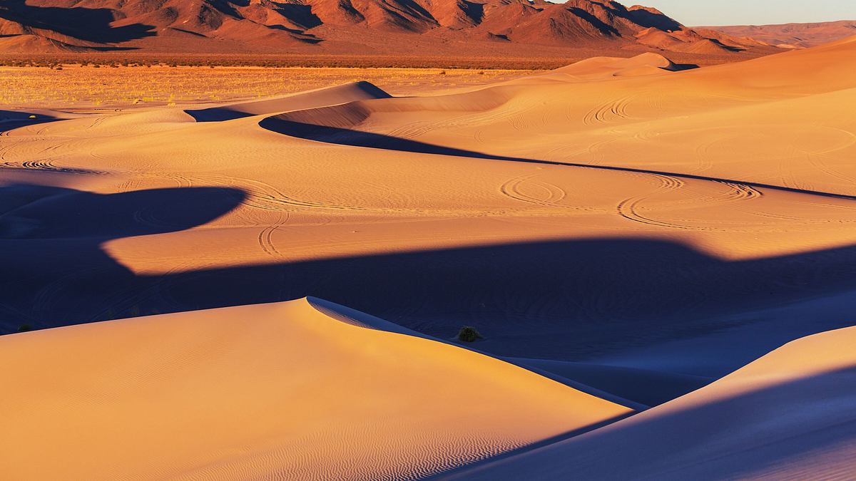 afrikas wilde wunderwelt