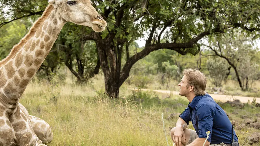 Liebe auf Safari liebe auf safari